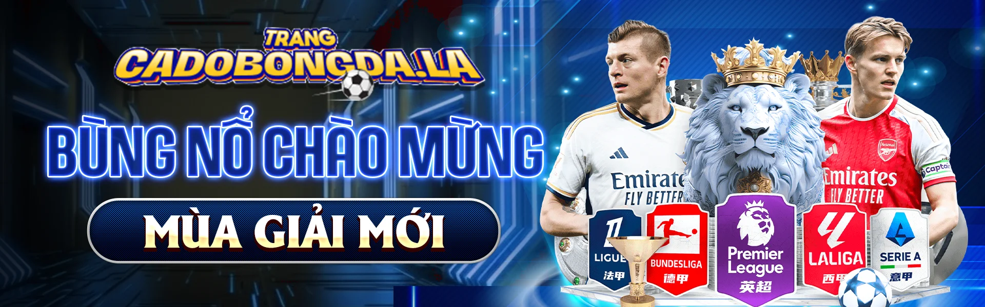 Banner Trang Cá Độ Bóng Đá