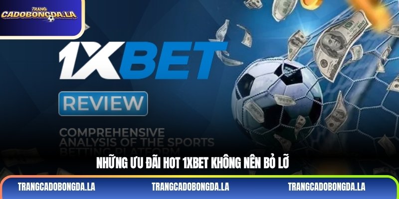 Những ưu đãi hot 1xbet không nên bỏ lỡ