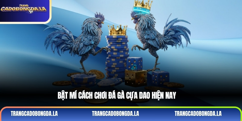Bật mí cách chơi đá gà cựa dao hiện nay