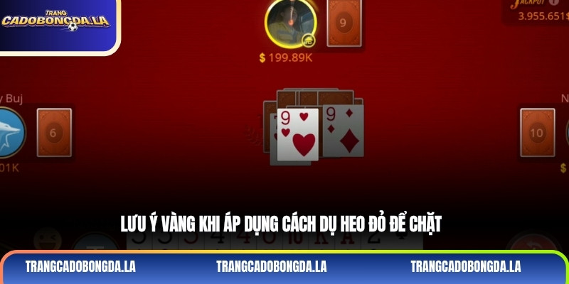 Lưu ý vàng khi áp dụng cách dụ heo đỏ để chặt