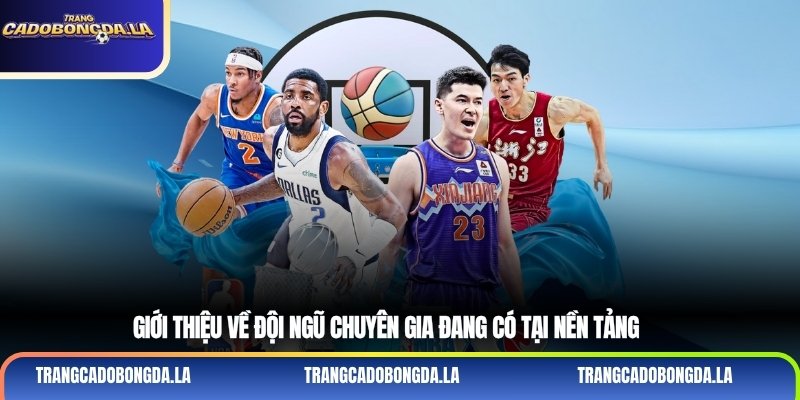 Giới thiệu về đội ngũ chuyên gia đang có tại nền tảng