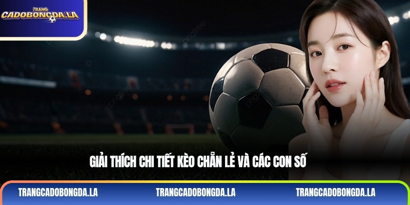 Giải thích chi tiết kèo chẵn lẻ và các con số