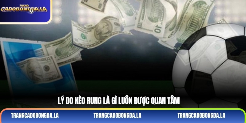 Lý do kèo rung là gì luôn được quan tâm
