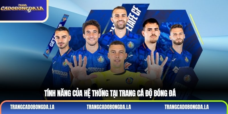 Tính năng của hệ thống tại trang cá độ bóng đá