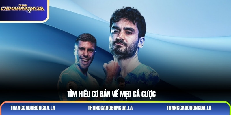 Tìm hiểu cơ bản về mẹo cá cược