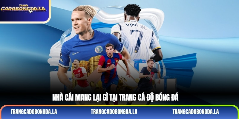 Nhà cái mang lại gì tại trang cá độ bóng đá